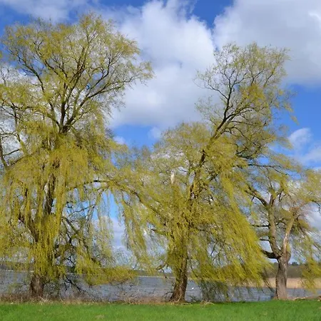 Storchennest *
