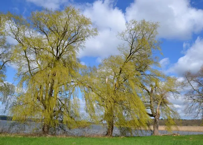 Storchennest *